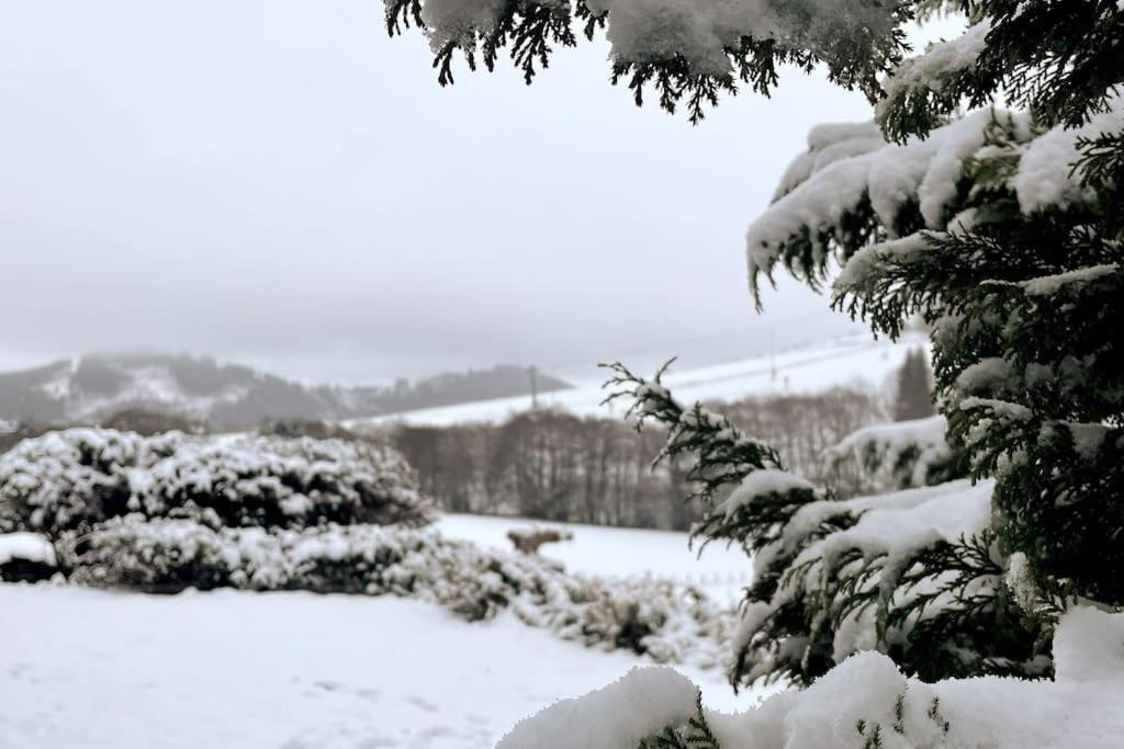 Haus Am Wald Willingen Lejlighed Willingen  Eksteriør billede